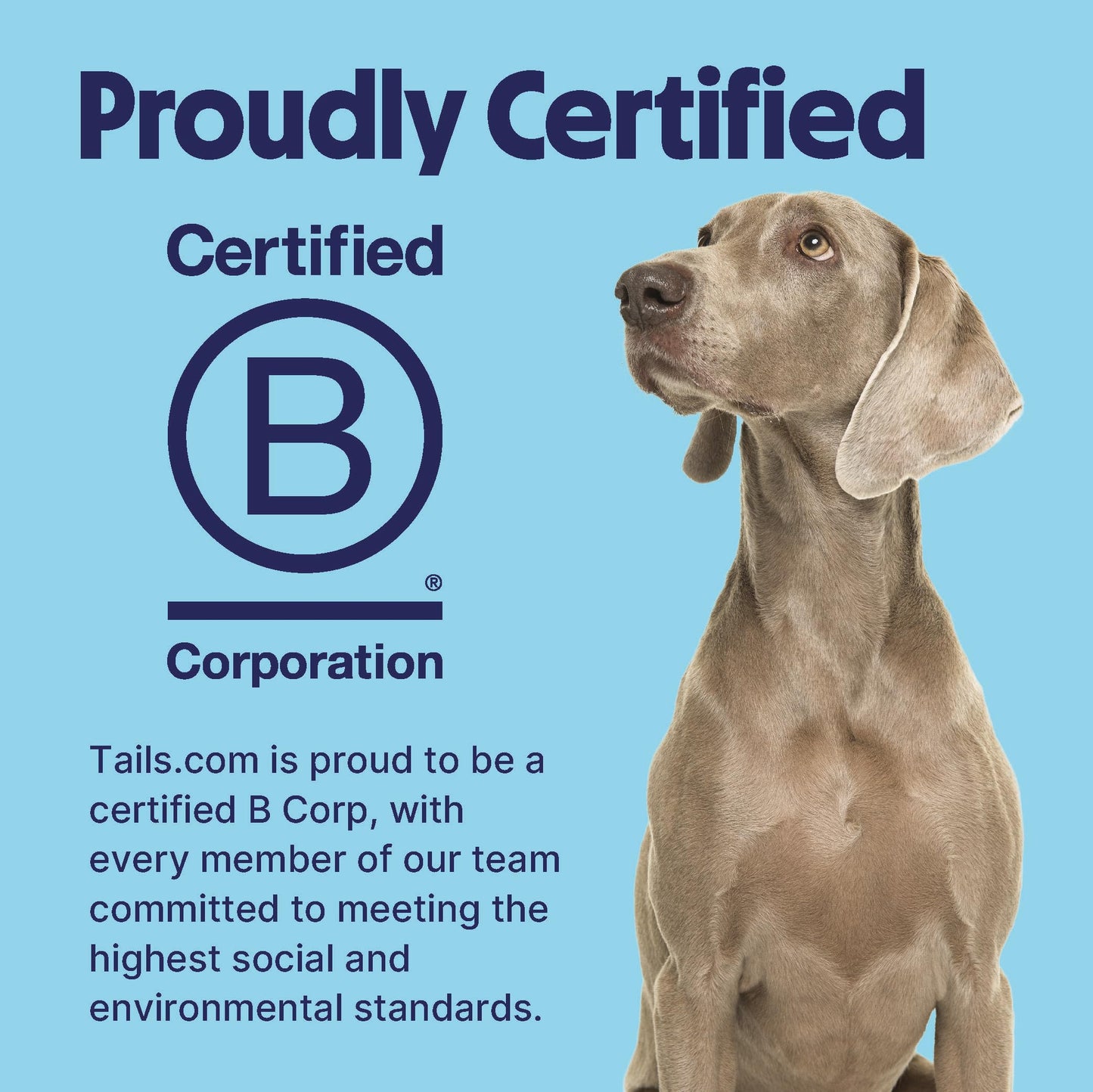 Tails.com Inner Vitality • Wet Dog Food 11 x 150g • Sensitive Chicken & Cod • Adult 1-7 years • Grain Free Recipe • Made with natural ingredients • Contains Omega 3 to Support Skin and Coat