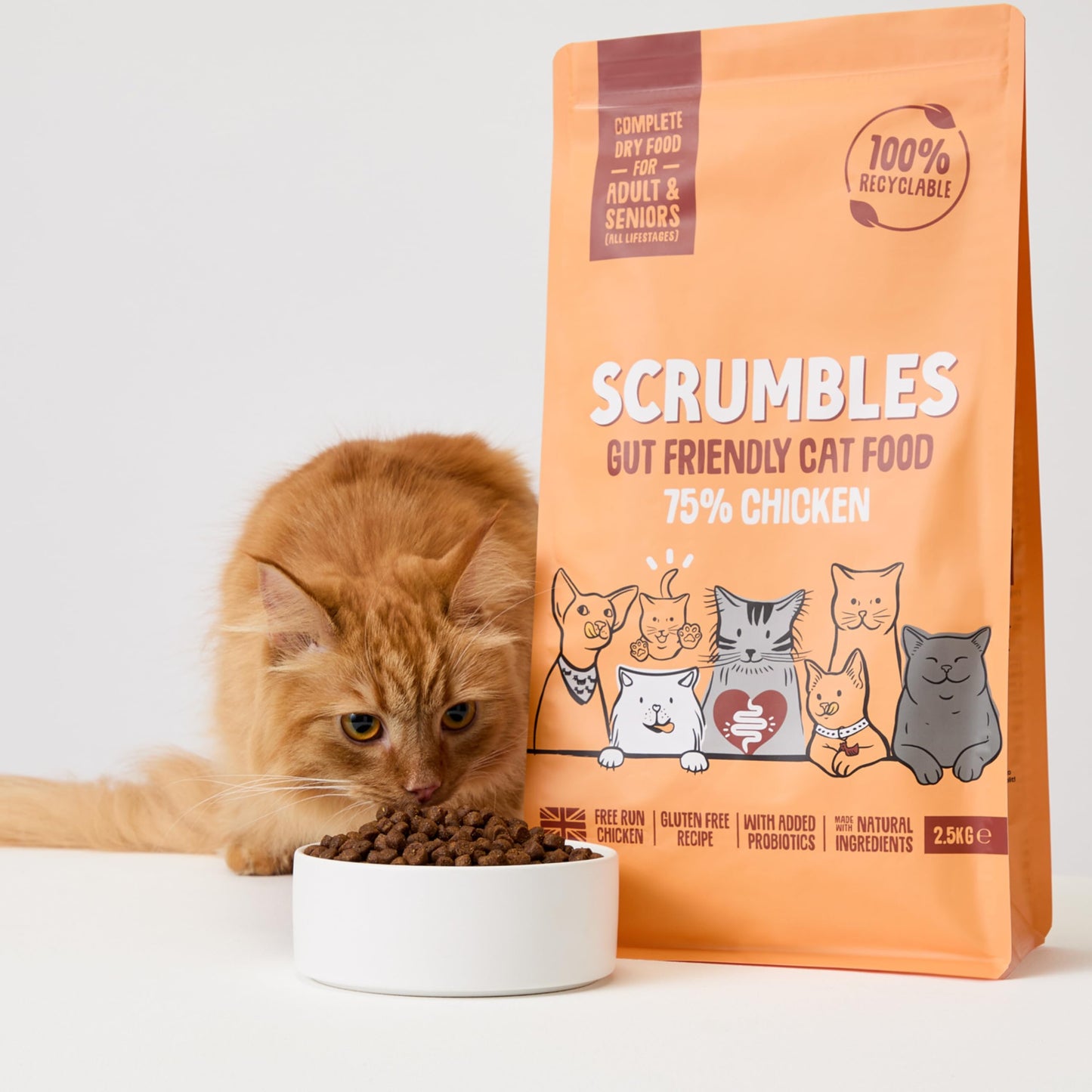 Scrumbles All Natural Dry Cat Food With 75% Chicken and Fresh Salmon, High Protein Food for Adults And Seniors