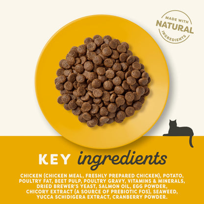 Natural Complete Dry Food for Adult Cats Chicken with Lamb 2kg