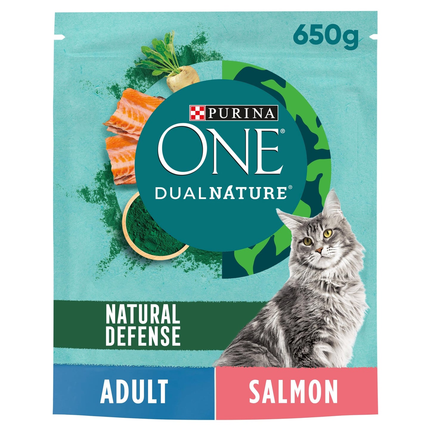 PURINA ONE Dry Cat Food