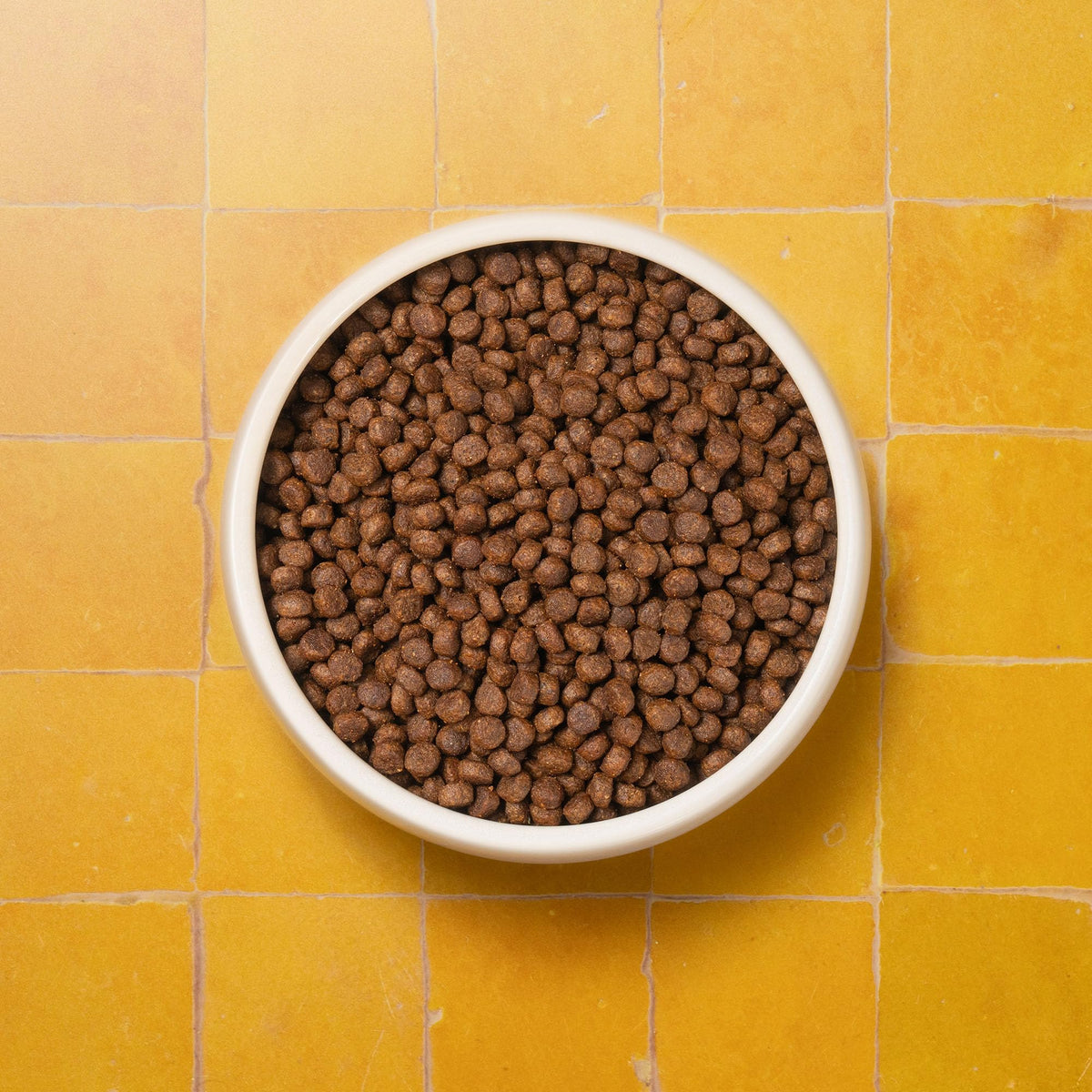 Senior Cat Superfood Complete Dry Cat Food, Turkey, 1.5kg