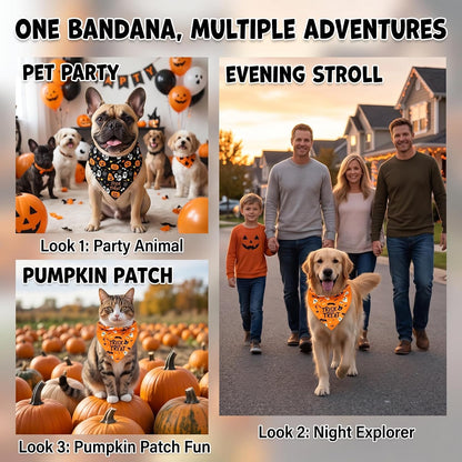 2Pcs Dog Halloween Costume, Pet Triangle Bandana, Black Orange Pumpkin Ghost Print Soft Bandanas, for Large Medium Small Dogs Cats, Halloween Cosplay Party Costumes, Holiday Photo Accessories