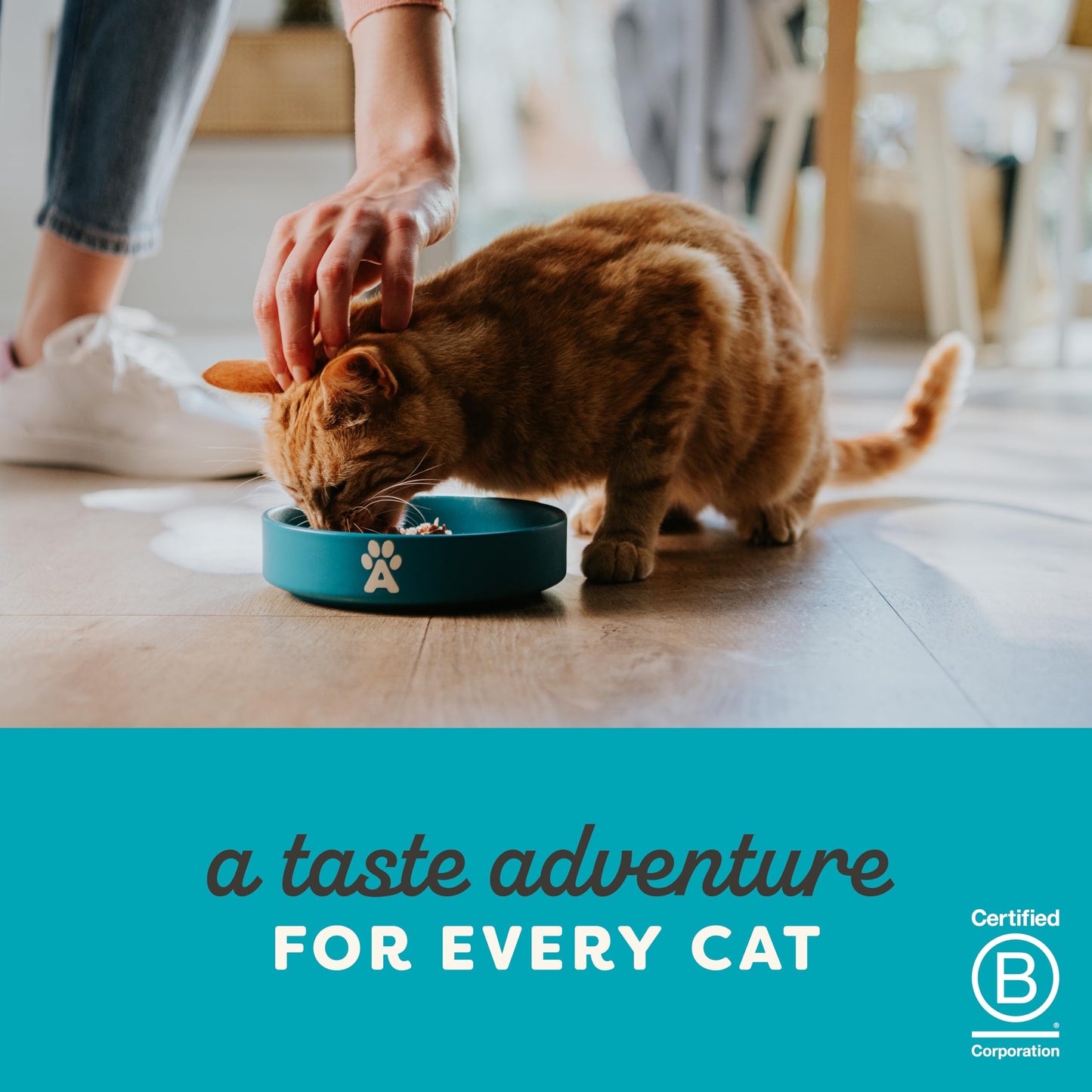 Applaws 100% Natural Wet Cat Food, Pouch Multipack Tuna Selection in Broth, 70 g (12 x 70 g Pouches)