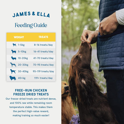 Freeze-Dried Dog Treats 40g