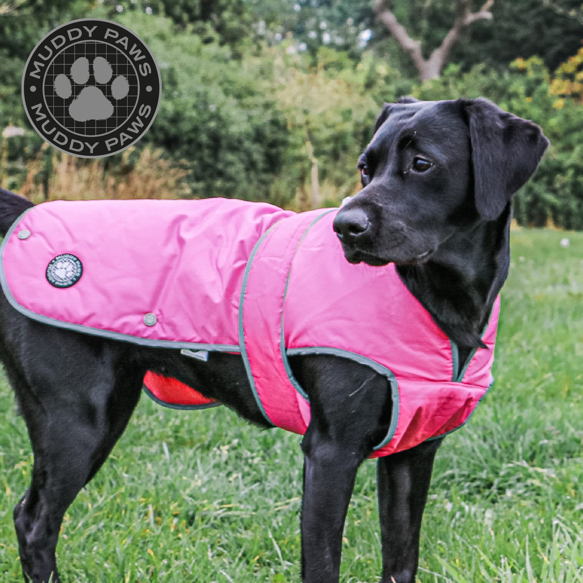 Ancol Muddy Paws All Weather Stormguard Coat . Poppy Red.Size Large ( Length 50cm, up to 79cm girth)