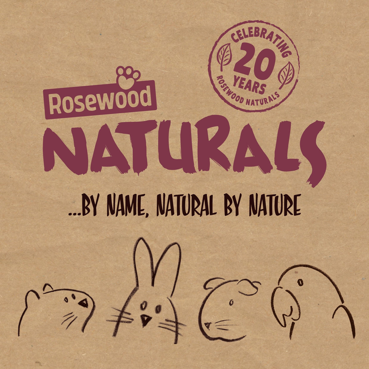 Rosewood Naturals Trio of Fun Balls (3pcs) Small Animal Toys