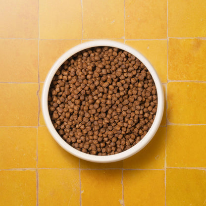 Senior Cat Superfood Complete Dry Cat Food, Turkey, 1.5kg