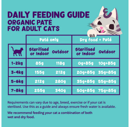 Grain Free Wet Cat Food Paté Salmon & Chicken 16 x 85g