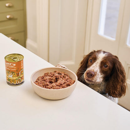 Natural Adult Wet Dog Food Cottage Pie Grain-Free Recipe 10 x 150g