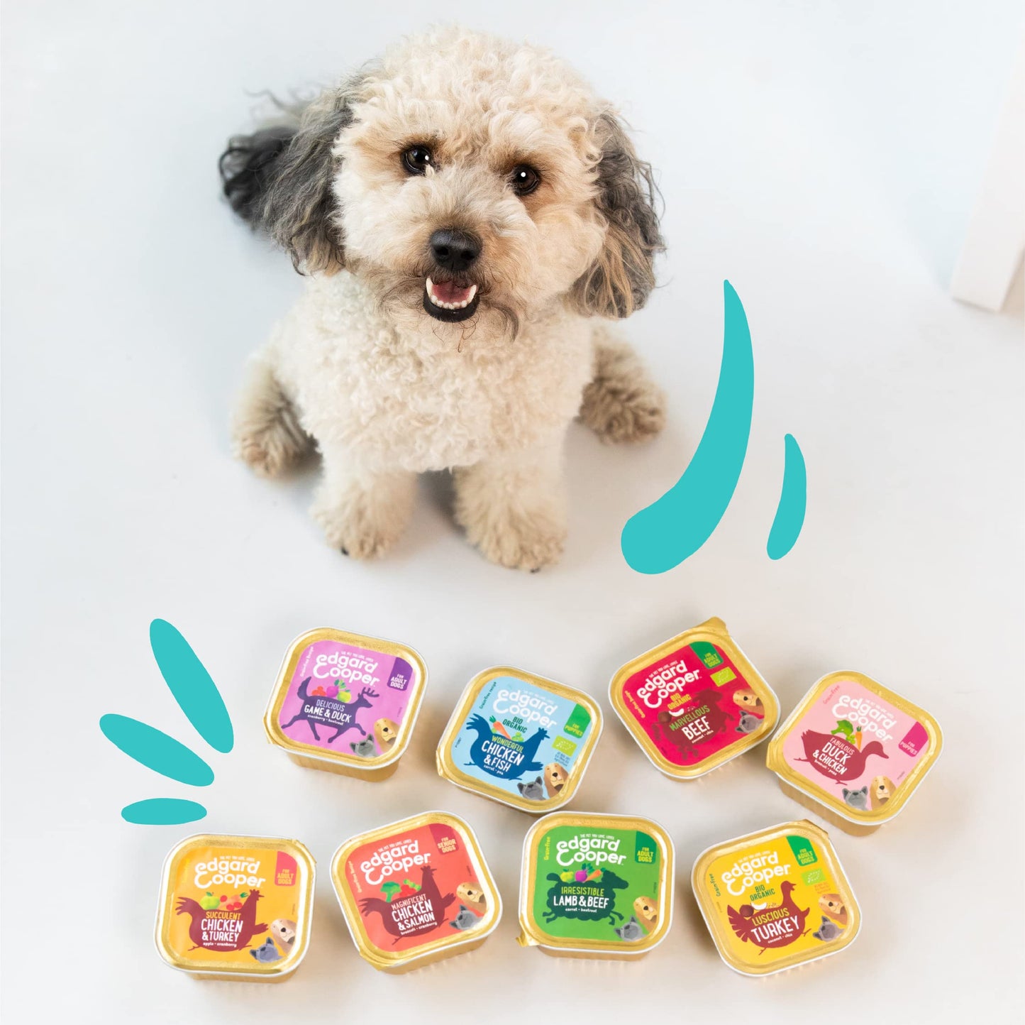 Edgard Cooper Grain-Free Wet Dog Food for Adult Dogs, (11 x 150g), Natural Dogs Food in Cup with Fresh Meat & Amino Acids, Gluten-Free, High Protein