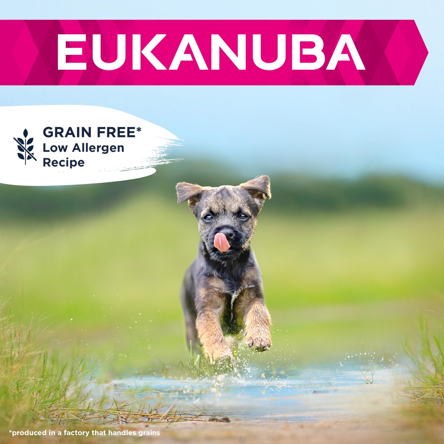 Eukanuba Grain Free Complete Dry Dog Food for Puppy Small and Medium Breeds