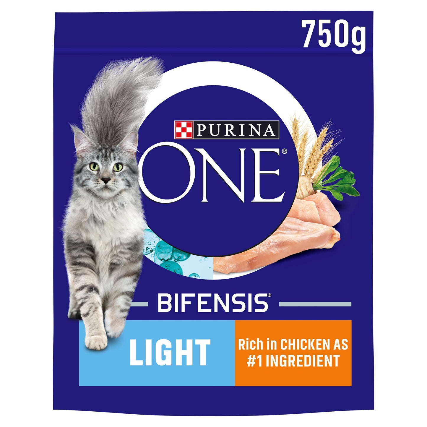 PURINA ONE Dry Cat Food