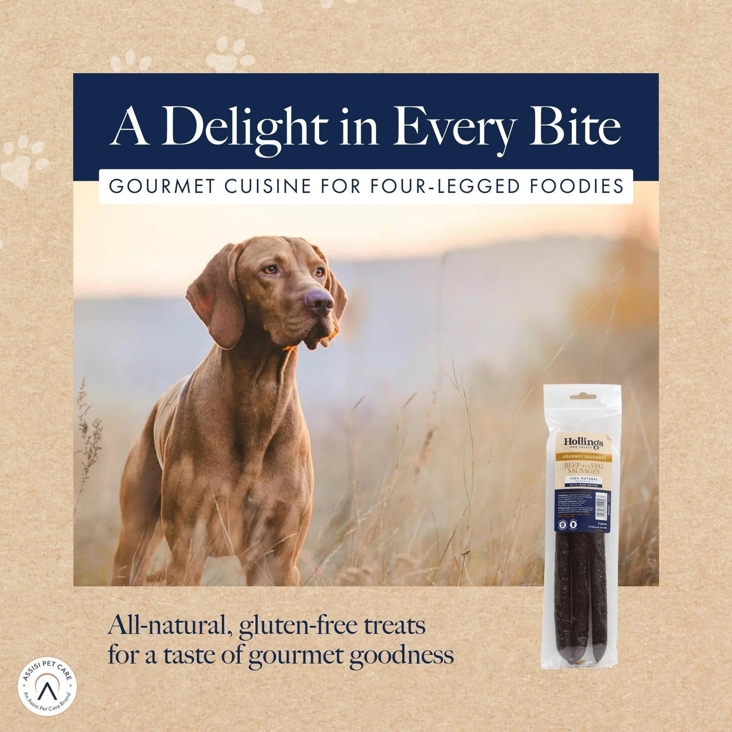 Hollings Chicken Sausages Dog Treats, Delicious, Nutritious Air Dried Chews for Adult Dogs, Made with 100% Natural Ingredients (Pack of 3)