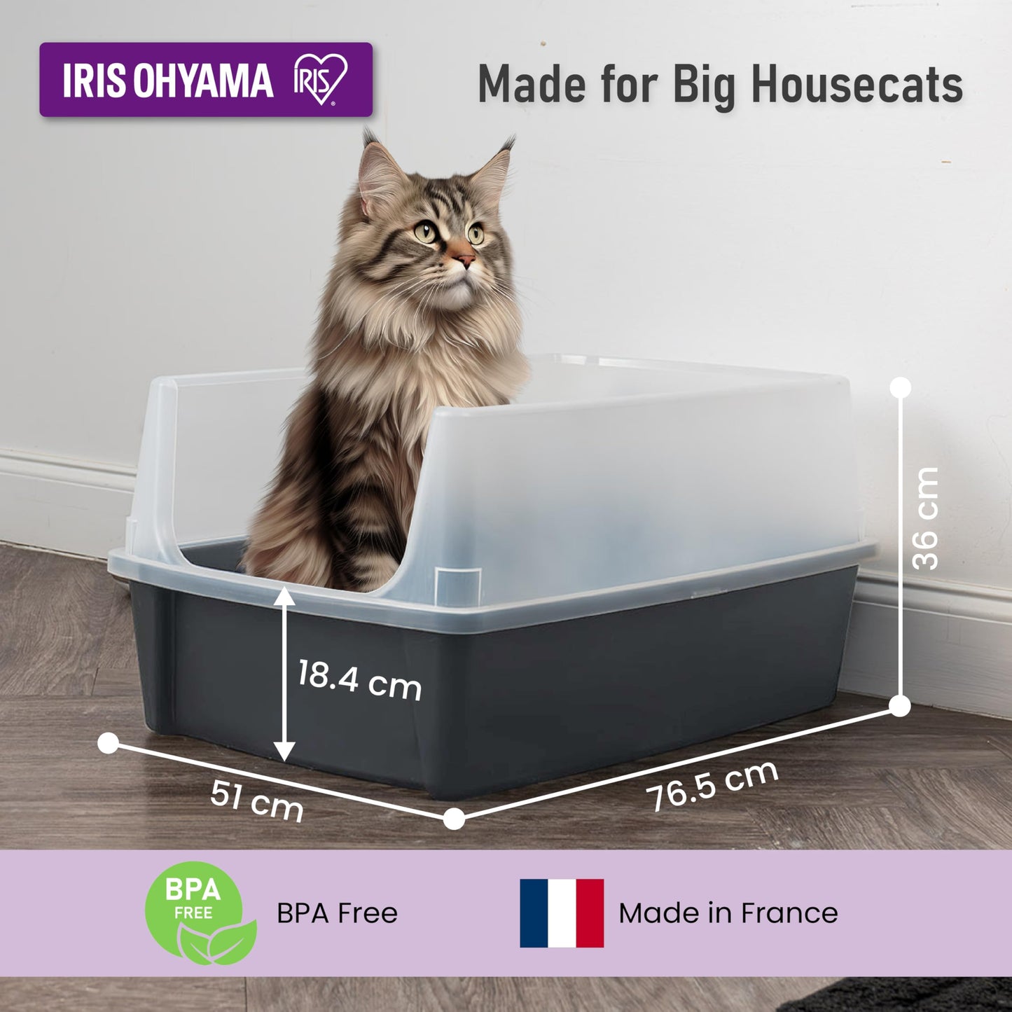 Iris Ohyama Cat Litter Tray with Scoop, Grey, Easy to Clean, Cat Litter Box, Detachable Spill Preventing Walls, For Kittens, Adult Cats, Rabbits, BPA Free, Open Top, Modern, CLH-12