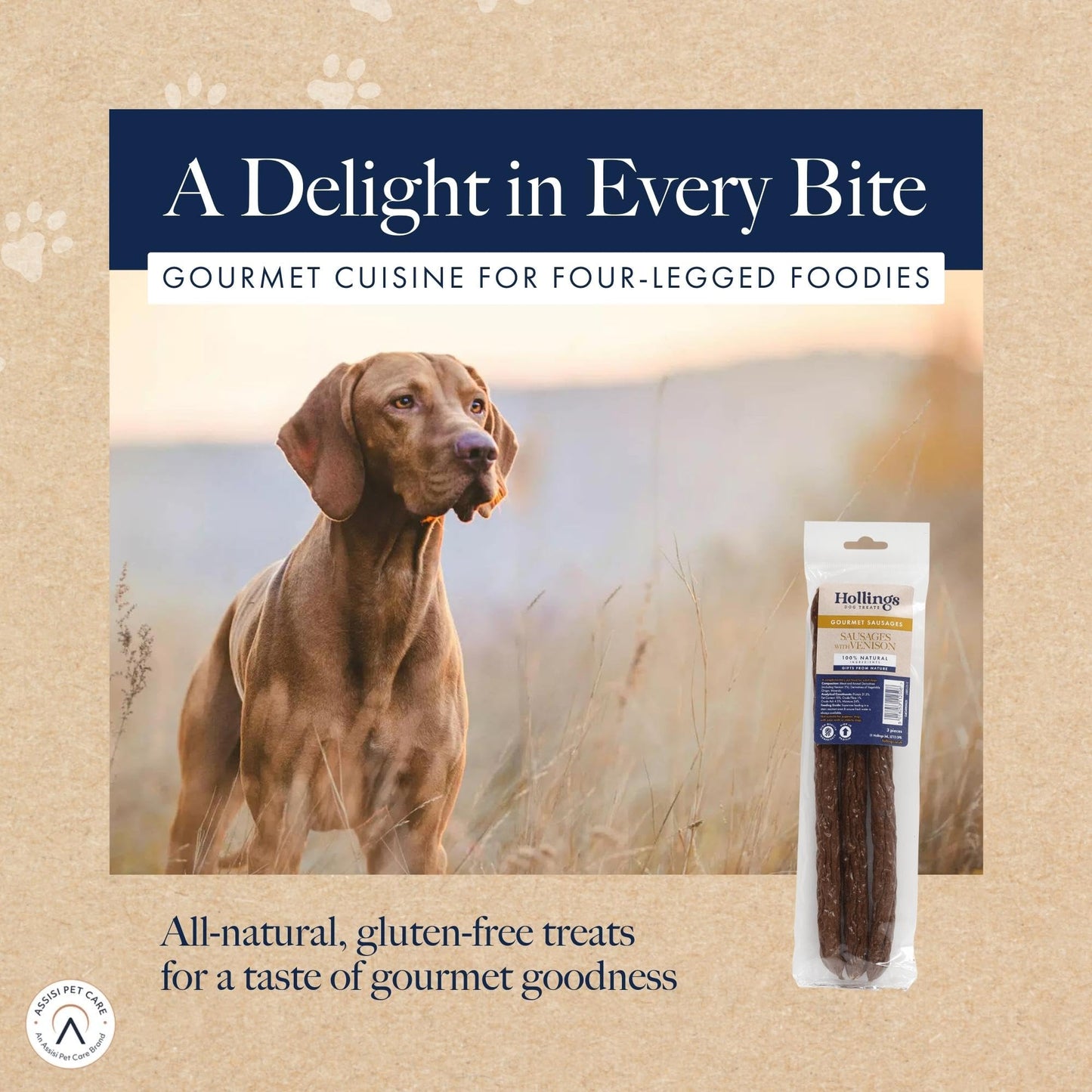 Hollings Chicken Sausages Dog Treats, Delicious, Nutritious Air Dried Chews for Adult Dogs, Made with 100% Natural Ingredients (Pack of 3)