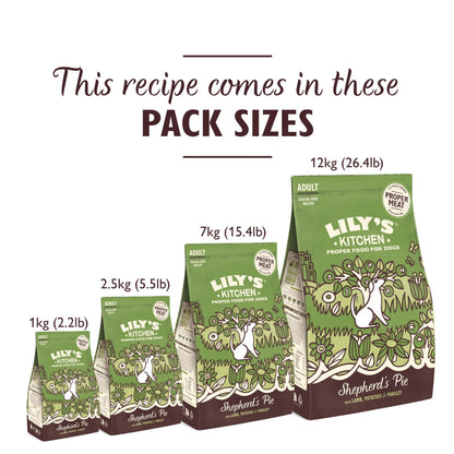 Natural Ingredients Adult Dry Dog Food Balanced Recipe