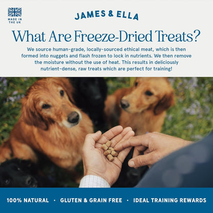 Freeze-Dried Dog Treats 40g