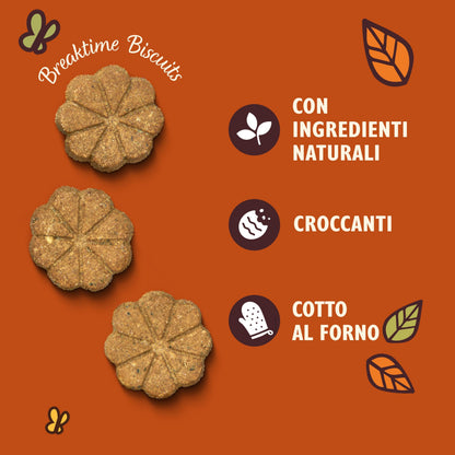 Lily's Kitchen Bedtime Biscuits - Complete Natural Dog Treats (8 x 80g)