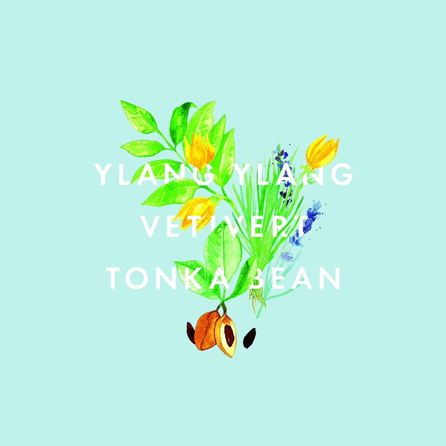 NEOM - Real Luxury Essential Oil Blend, 10ml | Lavender, Jasmine & Sandalwood | Scent to De-Stress Range