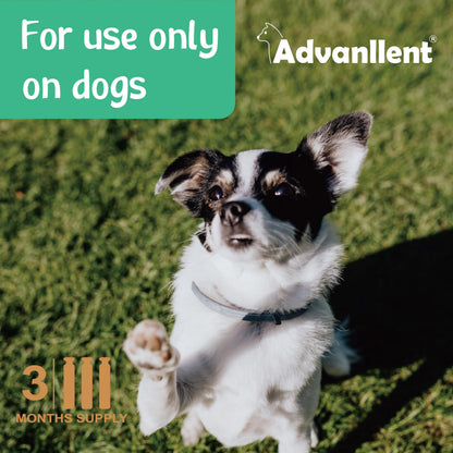 Natural Spot On Flea & Tick Treatment for Medium Dogs 3 Pipettes