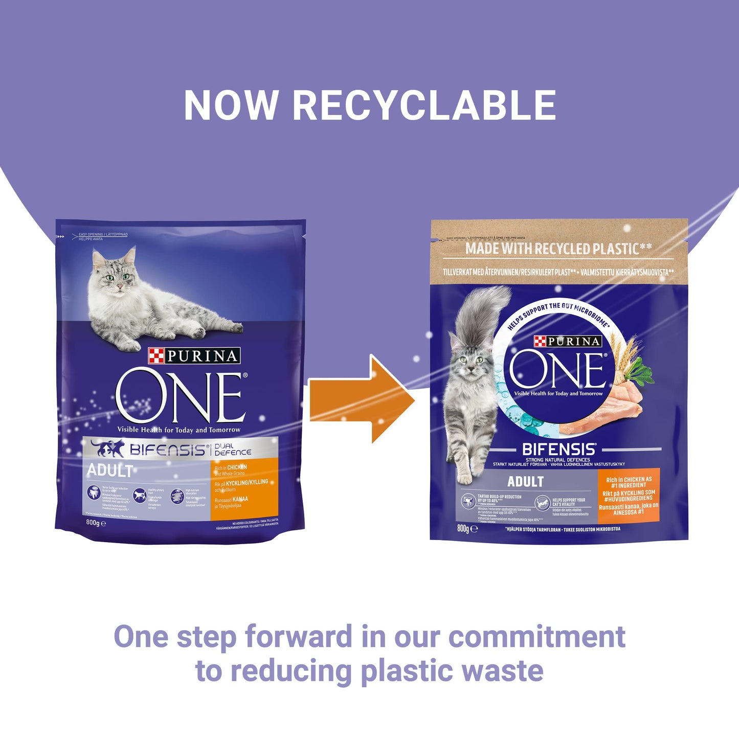 PURINA ONE Dry Cat Food