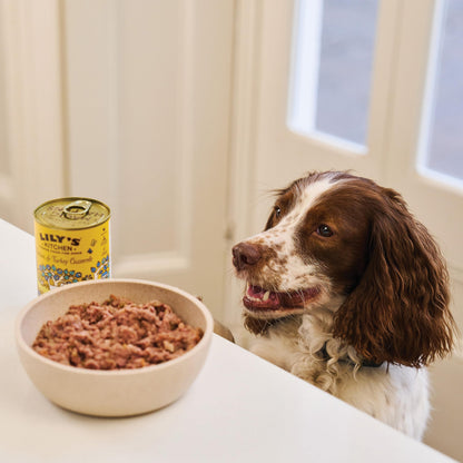 Natural Adult Wet Dog Food Cottage Pie Grain-Free Recipe 10 x 150g