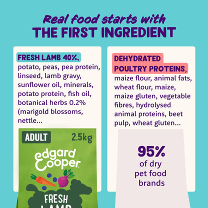 Grain Free Adult Dog Food Dry Kibble