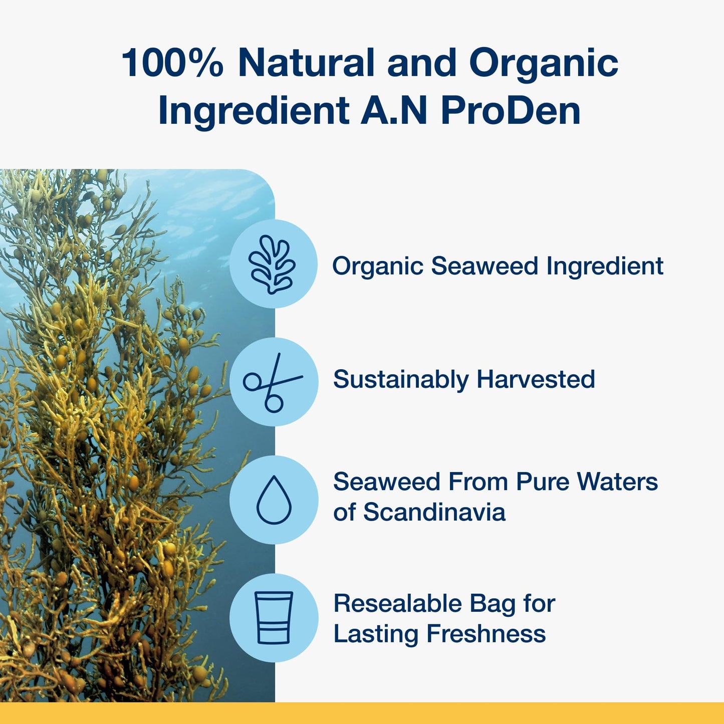 ProDen PlaqueOff Powder for Dogs & Cats, Tartar & Bad Breath Remover with 100% Natural Teeth Plaque Remover 180 g