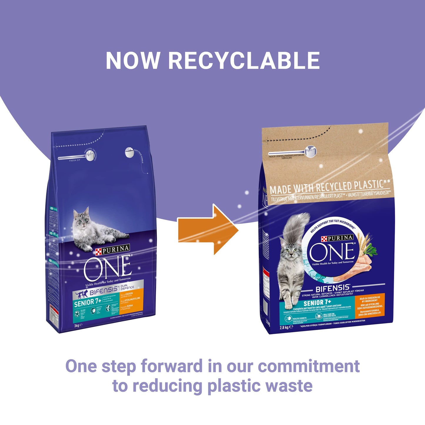 PURINA ONE Dry Cat Food