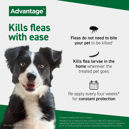 Flea Spot On Treatment for Dogs 10-25kg 1 Pipette
