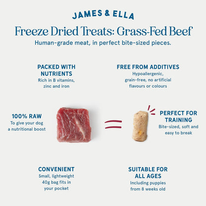 Freeze-Dried Dog Treats 40g