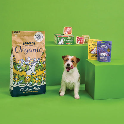 Lily's Kitchen Bedtime Biscuits - Complete Natural Dog Treats (8 x 80g)