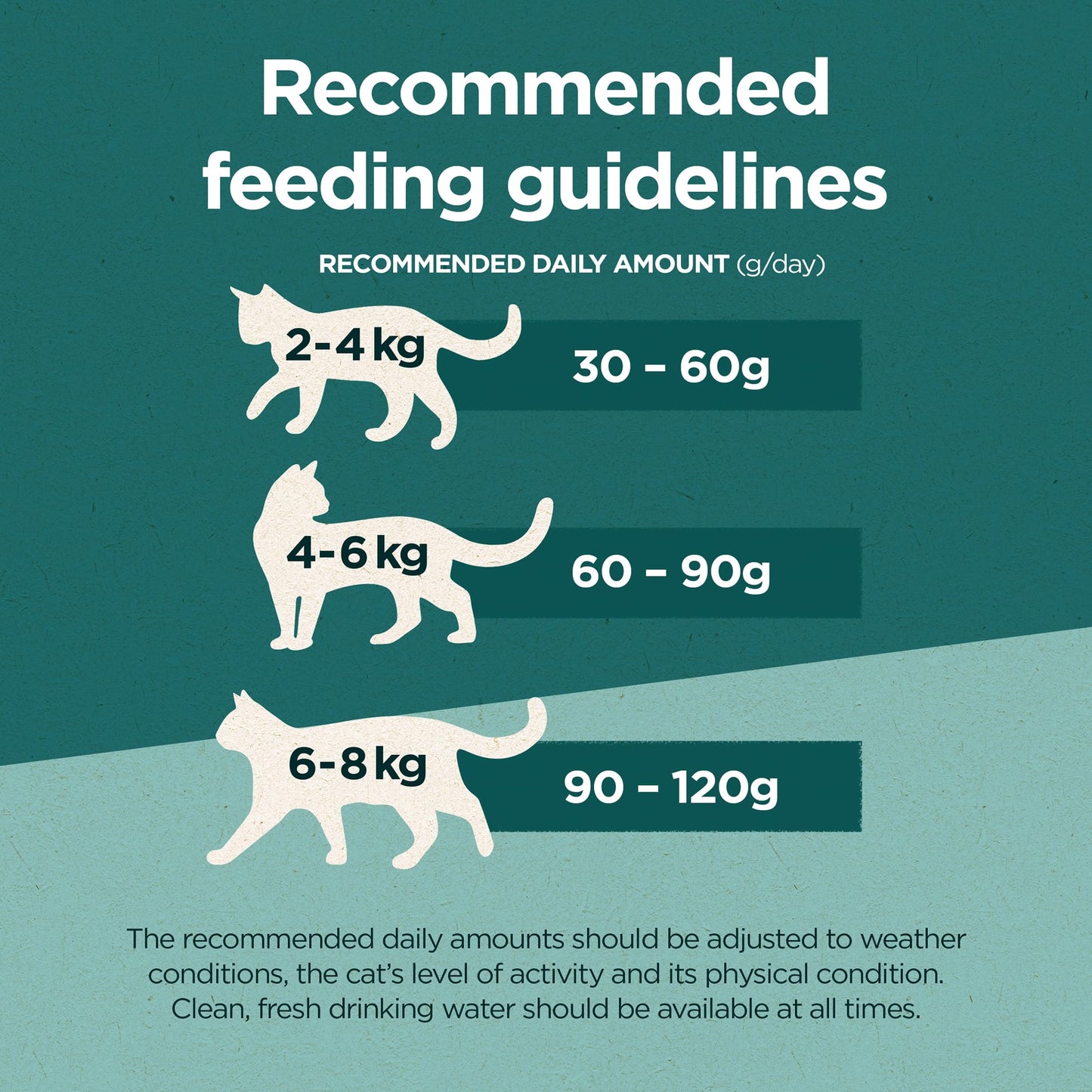 PURINA ONE Dry Cat Food