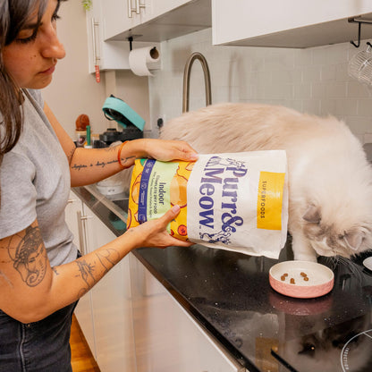 Senior Cat Superfood Complete Dry Cat Food, Turkey, 1.5kg