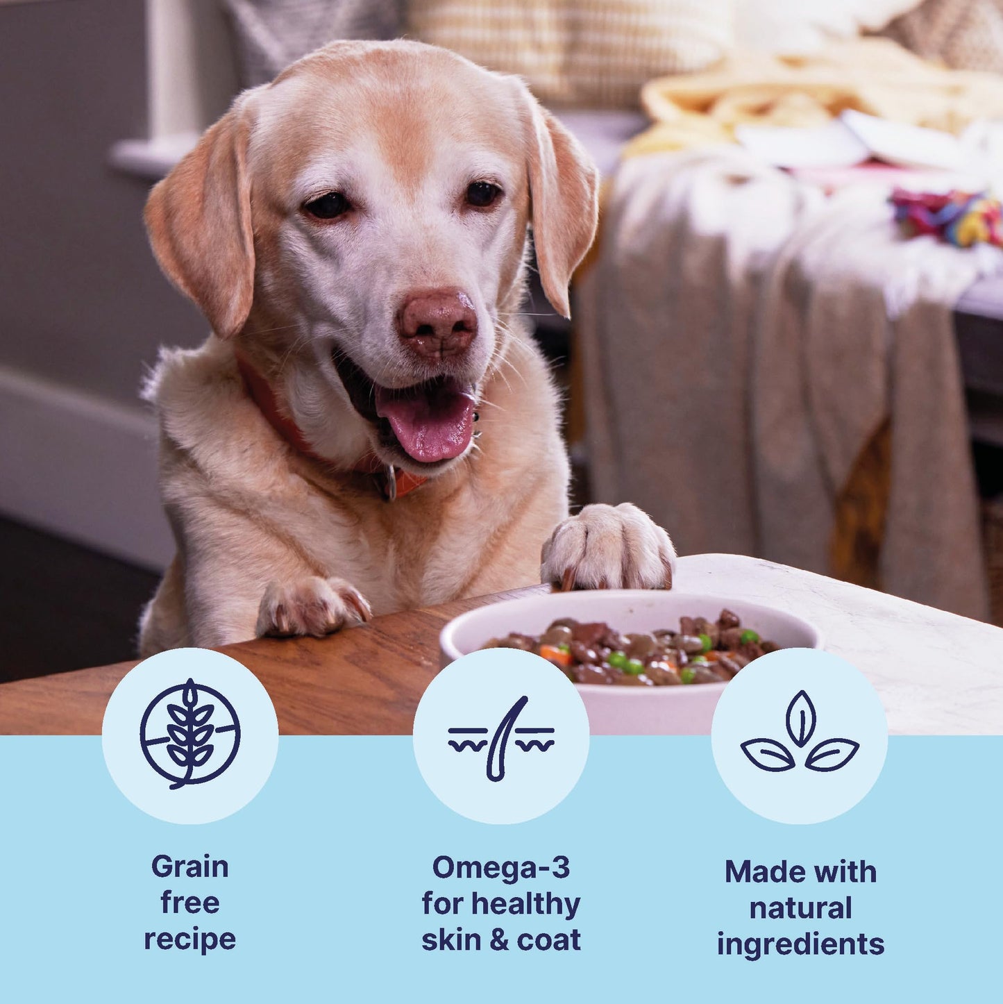 Tails.com Inner Vitality • Wet Dog Food 11 x 150g • Sensitive Chicken & Cod • Adult 1-7 years • Grain Free Recipe • Made with natural ingredients • Contains Omega 3 to Support Skin and Coat