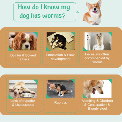 Natural Spot On Flea & Tick Treatment for Medium Dogs 3 Pipettes