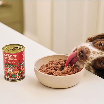Natural Adult Wet Dog Food Cottage Pie Grain-Free Recipe 10 x 150g