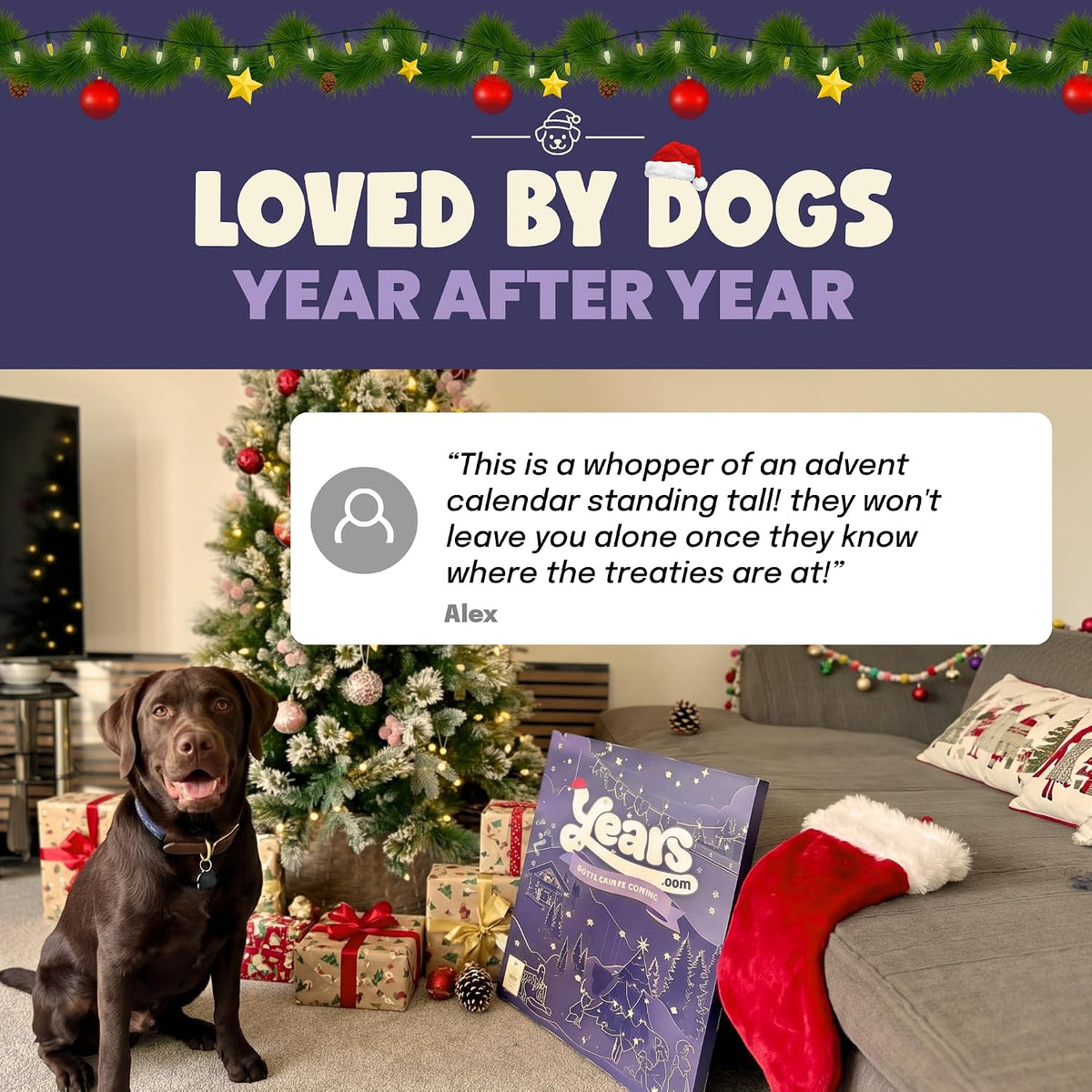 YEARS Extra Large Dog Advent Calendar 2026-55 Air Dried Grain Free Treats
