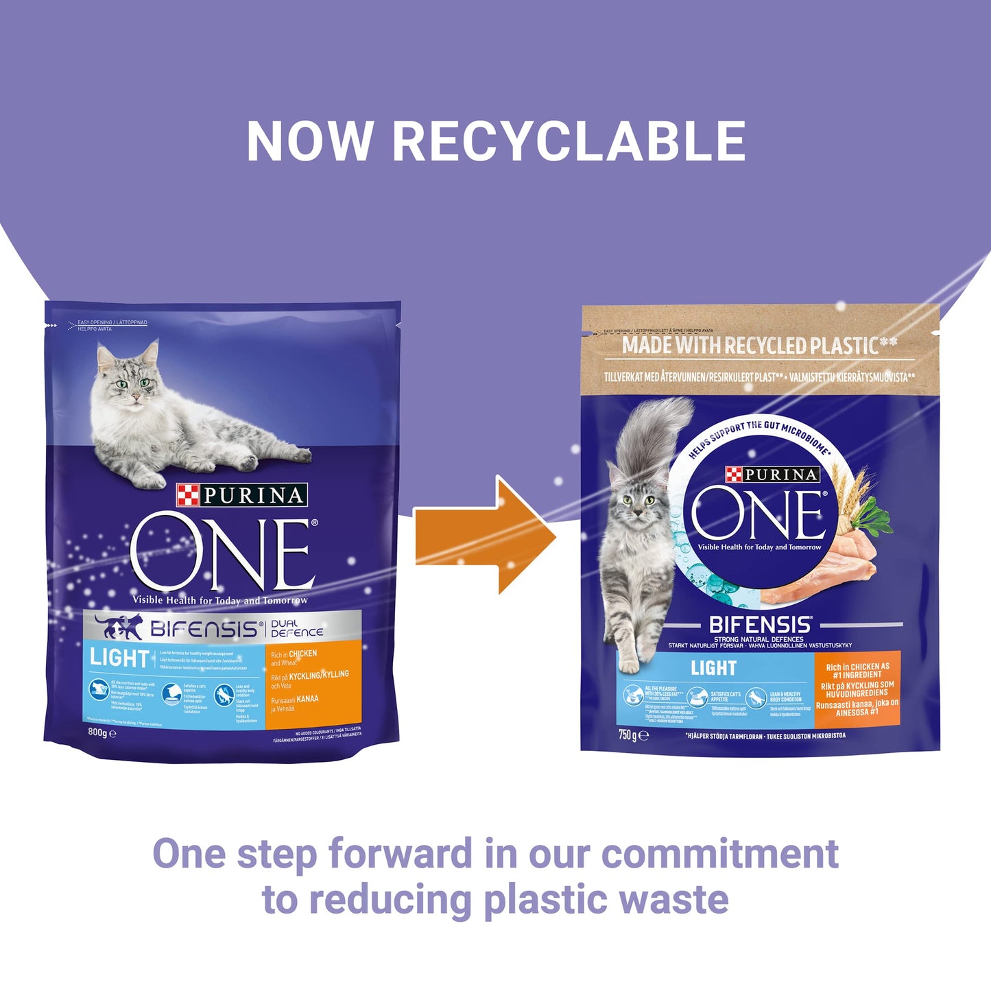 PURINA ONE Dry Cat Food