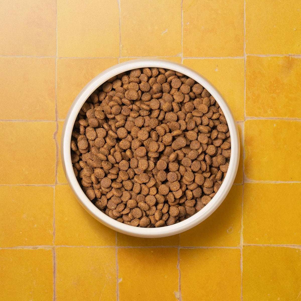 Senior Cat Superfood Complete Dry Cat Food, Turkey, 1.5kg