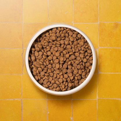 Senior Cat Superfood Complete Dry Cat Food, Turkey, 1.5kg