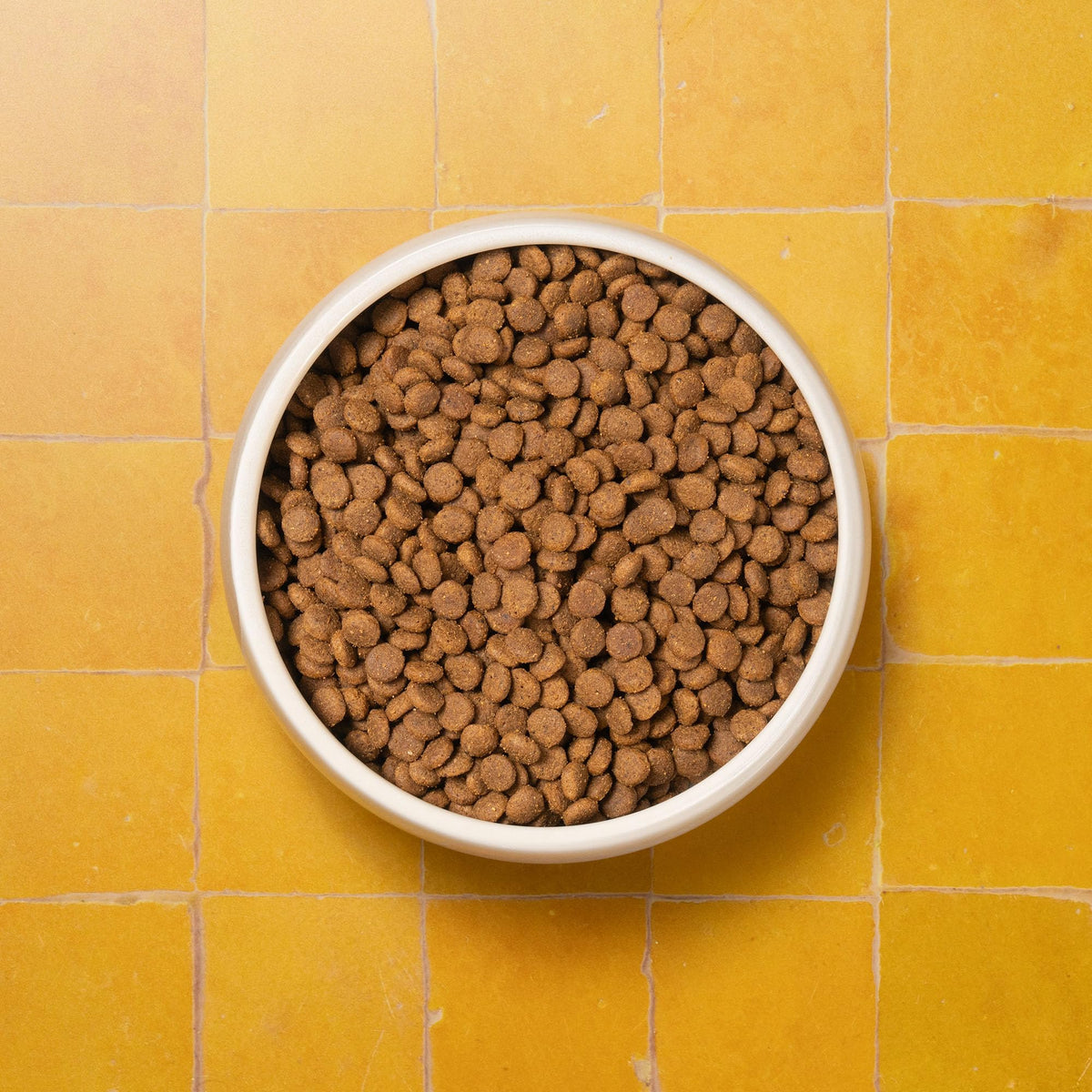 Senior Cat Superfood Complete Dry Cat Food, Turkey, 1.5kg