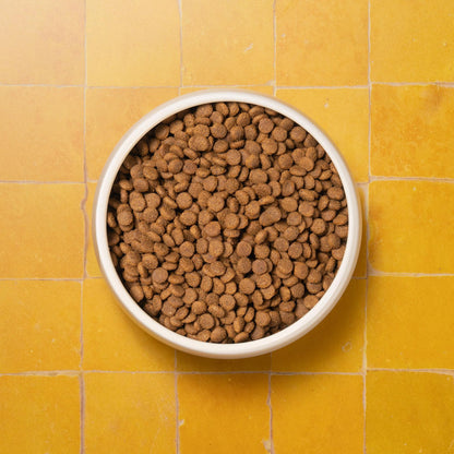 Senior Cat Superfood Complete Dry Cat Food, Turkey, 1.5kg