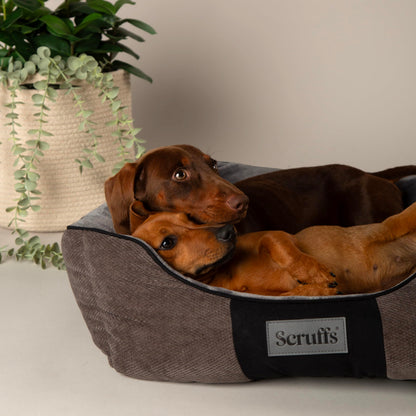 Scruffs Chester Box Bed Graphite