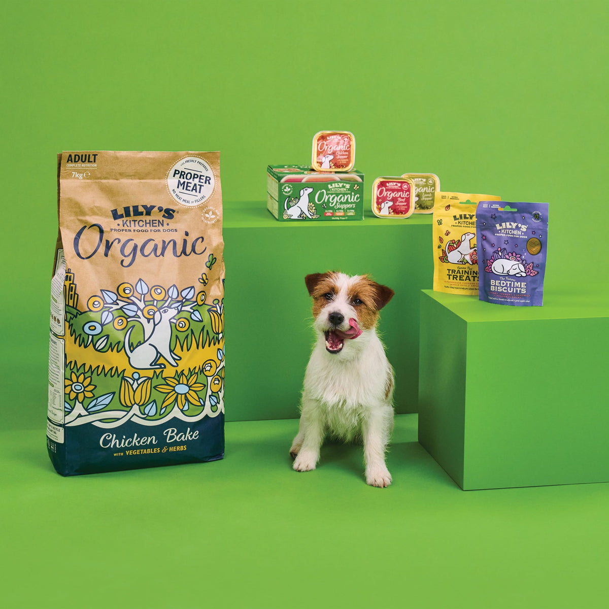 Lily's Kitchen Bedtime Biscuits - Complete Natural Dog Treats (8 x 80g)
