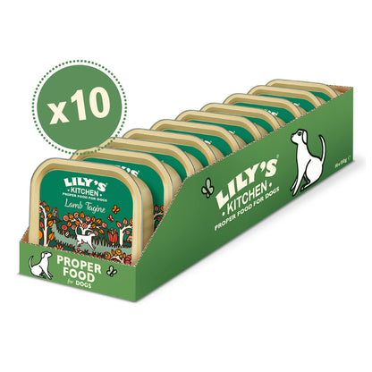 Natural Adult Wet Dog Food Cottage Pie Grain-Free Recipe 10 x 150g