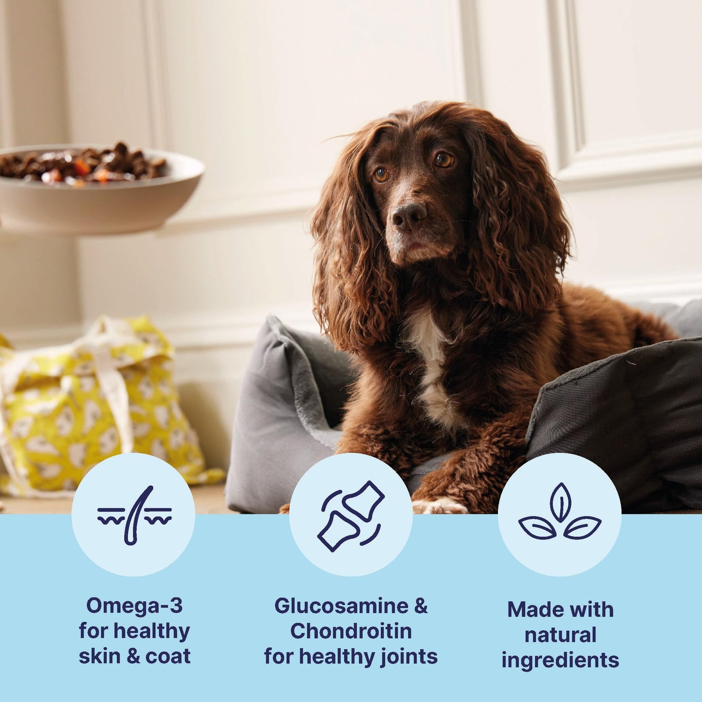 Tails.com Inner Vitality • Wet Dog Food 11 x 150g • Sensitive Chicken & Cod • Adult 1-7 years • Grain Free Recipe • Made with natural ingredients • Contains Omega 3 to Support Skin and Coat