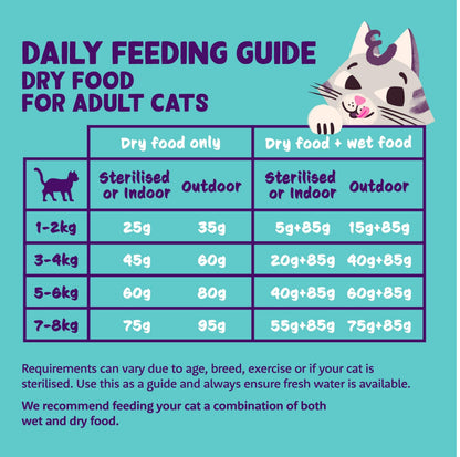 Grain Free Adult Dry Cat Food Chicken 2kg