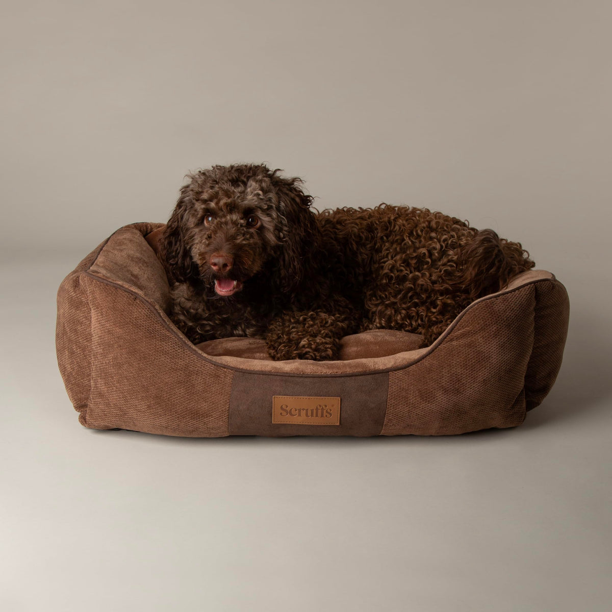 Scruffs Chester Box Bed Graphite