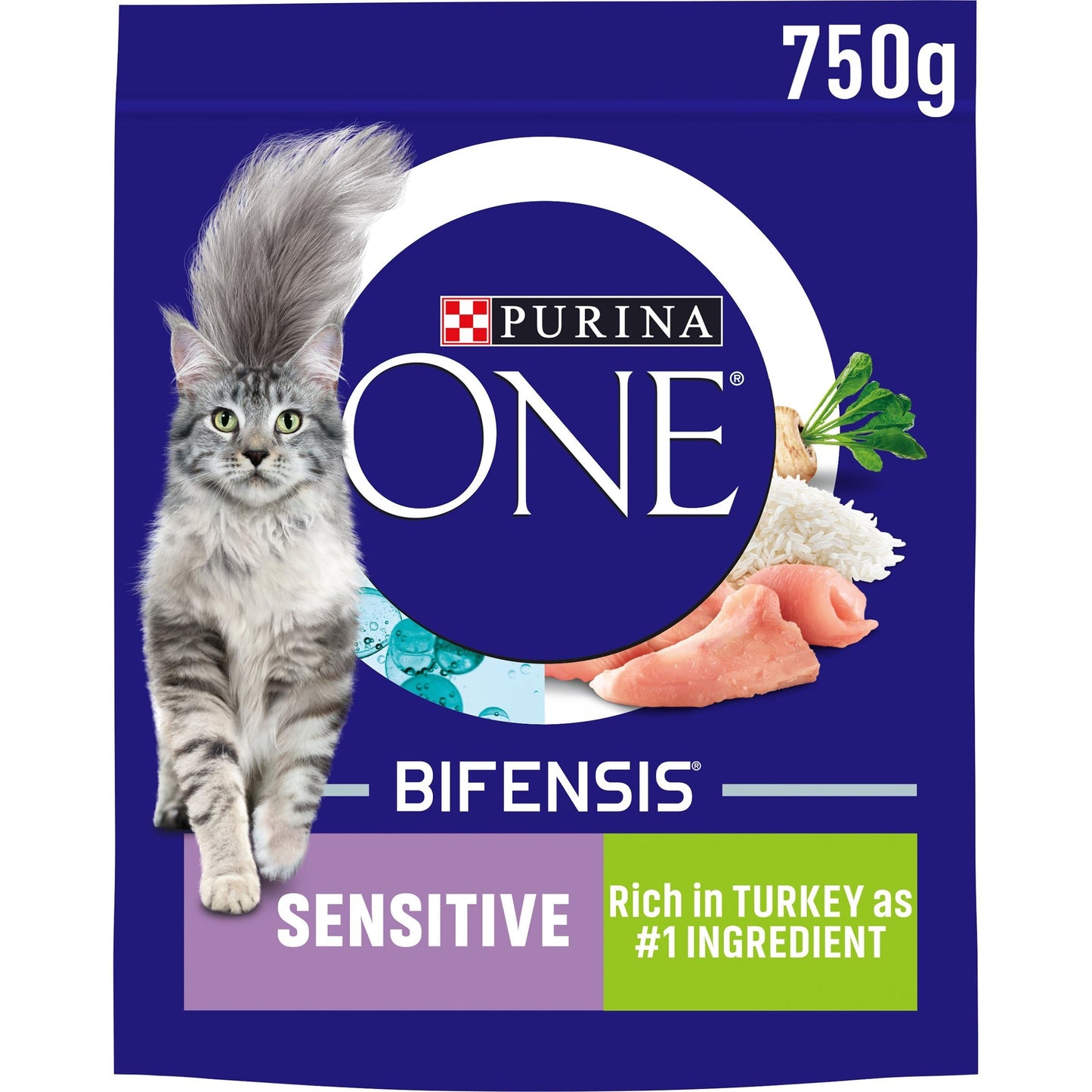 PURINA ONE | Dry Cat Food